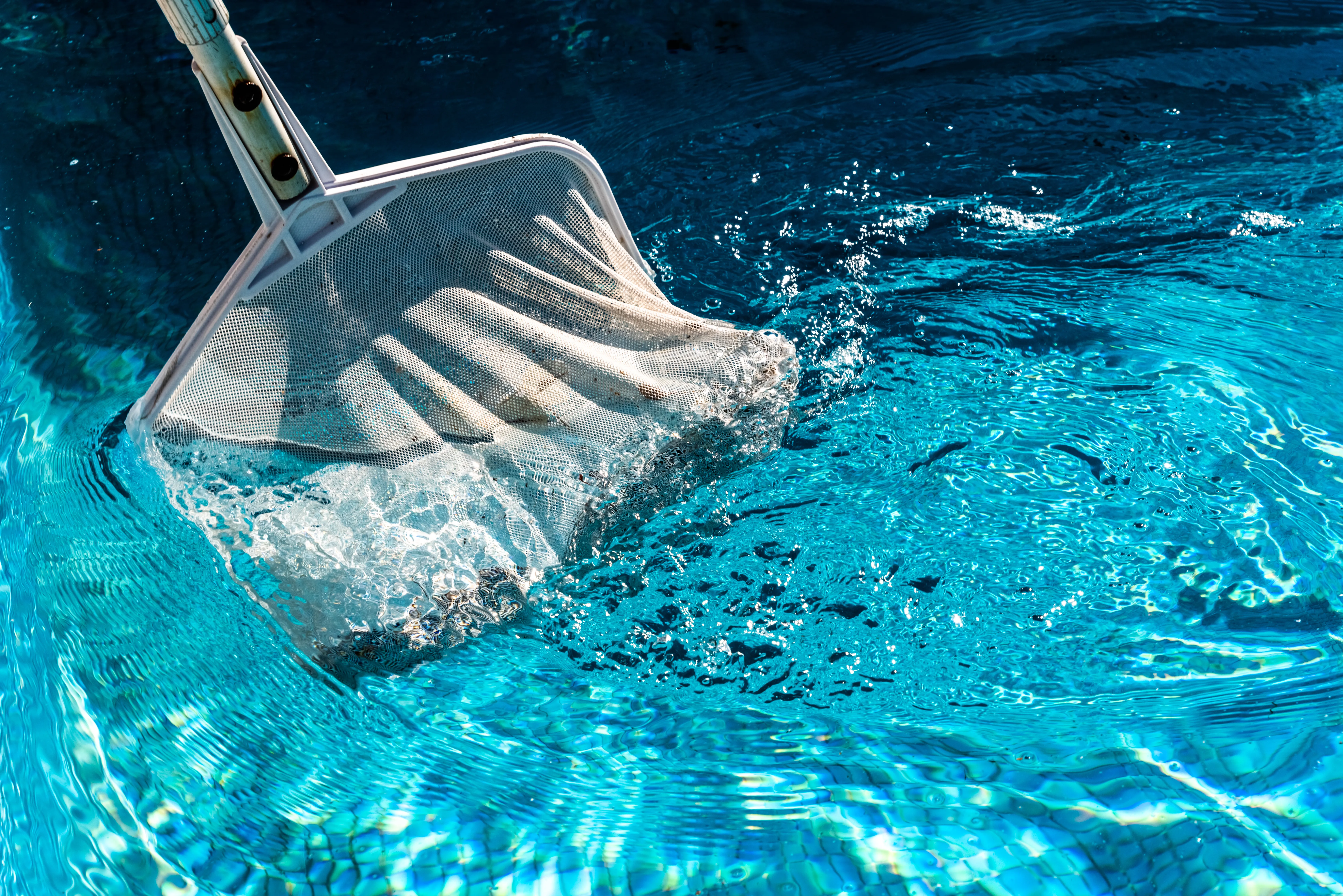 cleaning a pool